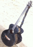 New 2012 Talking Bass wj Acoustic Bass new